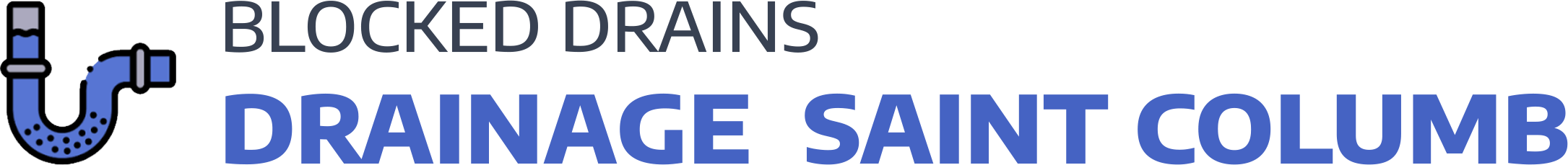 website logo